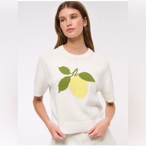 SOLD OUT! The A&F Madeline Lemon Crew Sweater Tee